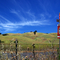 roadside off I-5