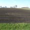 The Bury Farm
