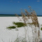 Einsamer Strand am Golf