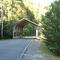 Covered Bridge Over Sheep Pen Creek