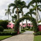 NAPLES AREA
