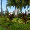 Jardinal