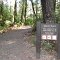 Sep 2009 - Jedediah Smith Redwoods State Park, California. River Trail post.