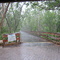 rain on the boardwalk