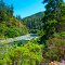 South Fork Smith River_DSC2933