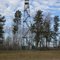 Pinewood Fire Tower