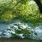 Meramec Spring Park