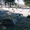 Stone graves