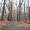 Rye Nature Center