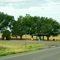 2011,  Harper, Oklahoma, USA - Rte 64 & N1990 Rd.