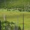 Round Meadow elk calving ground