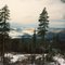 North Fork John day about 1990 prefire