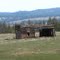Shed on the old Camas Creek road