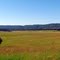 Looking North from the Dixie Ranch road