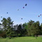 Blossom Time Balloon Race from Chagrin Falls, Ohio as seen from Russell, Ohio