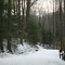 South Chagrin Bridle Trail