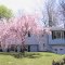 67 Randall Ave, Knowlton's