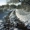 Snowy Road