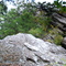 looking toward the top