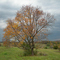 Fisher's Hill Battlefield