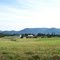 Virginia Country
