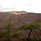 Signal Knob from Buzzard Rock
