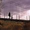 Deer Rapids Swinging Footbridge