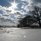 Frozen Creek