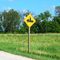 Watch for snowmobilers, in JULY!