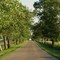 Fahrnwald Road