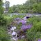 A drainage ditch in Black Wolf, Wisconsin
