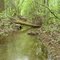 A drainage ditch in Black Wolf, Wisconsin