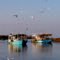 Two Luggers at Day's End