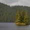 Small Island on Neck Lake
