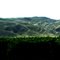 FROM FREEWAY 5