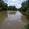Guy Sandy Creek