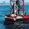 Seals on the Oceanside Buoy