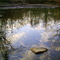 Reflections