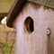 Birdhouse