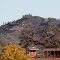 Fallbrook Country Living