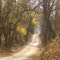 November Gibson County Indiana