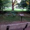Oak Tree at Olathe KS Trails