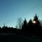 Sunrise behind trees