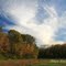 Bill Yeck Park