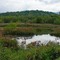 Lake Adger