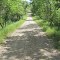 Pete's Coulee