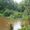 Windham Beaver Pond