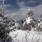 6 feet of snow on Windham High Peak