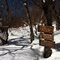 Snowy junction