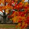 Cemetary-East Jewett UMC